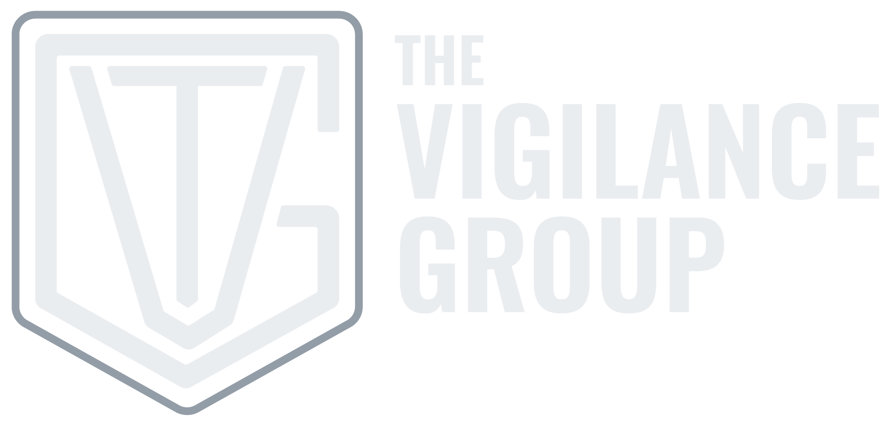 The Vigilance Group